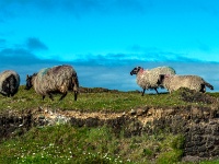 Achill Island, County Mayo